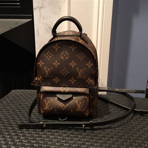 palm springs mini backpack|lv backpack mini price.